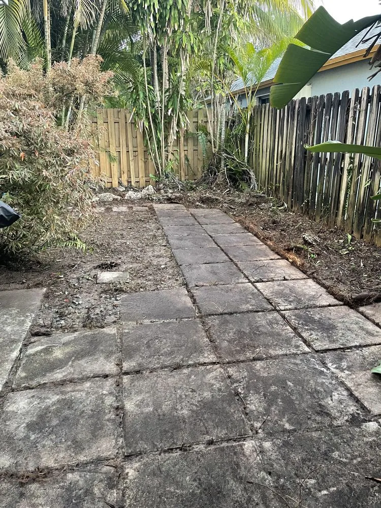 Top-rated lawn mowing service for homes across Fort Lauderdale, FL - Triple D's Lawn and Handyman