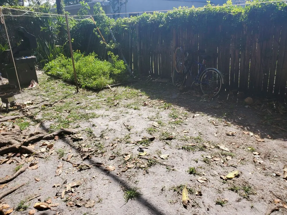 Top-rated yard cleanup service for residential properties in Fort Lauderdale, FL by Triple D's Lawn and Handyman