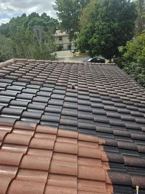 Triple D's Lawn and Handyman Logo