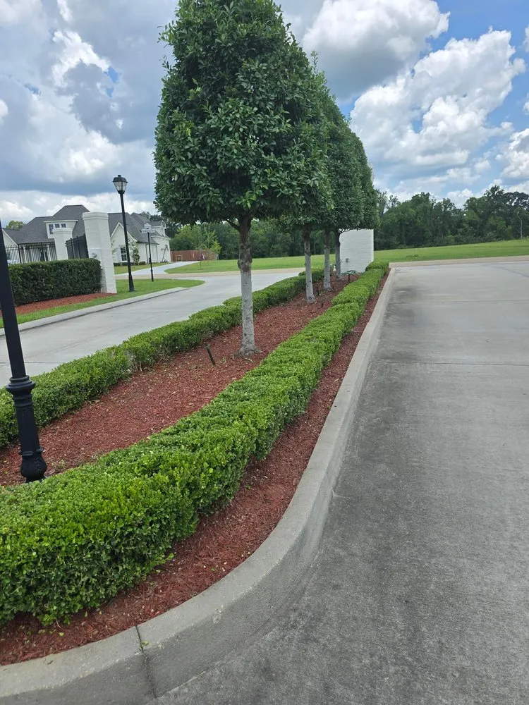 Reliable landscaping services in Prairieville, LA by Triple D's Lawncare and Maintenance