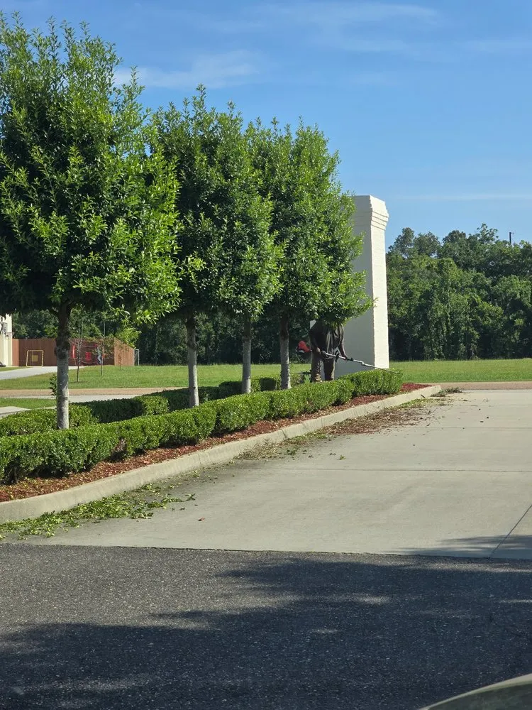 Local yard cleanup service in Prairieville, LA - Triple D's Lawncare and Maintenance