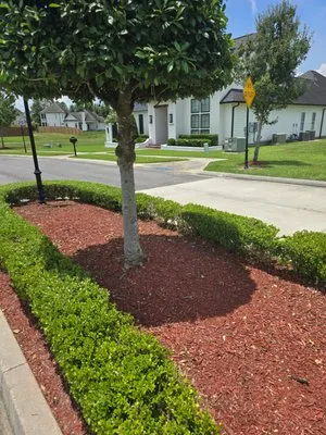 Triple D's Lawncare and Maintenance Logo