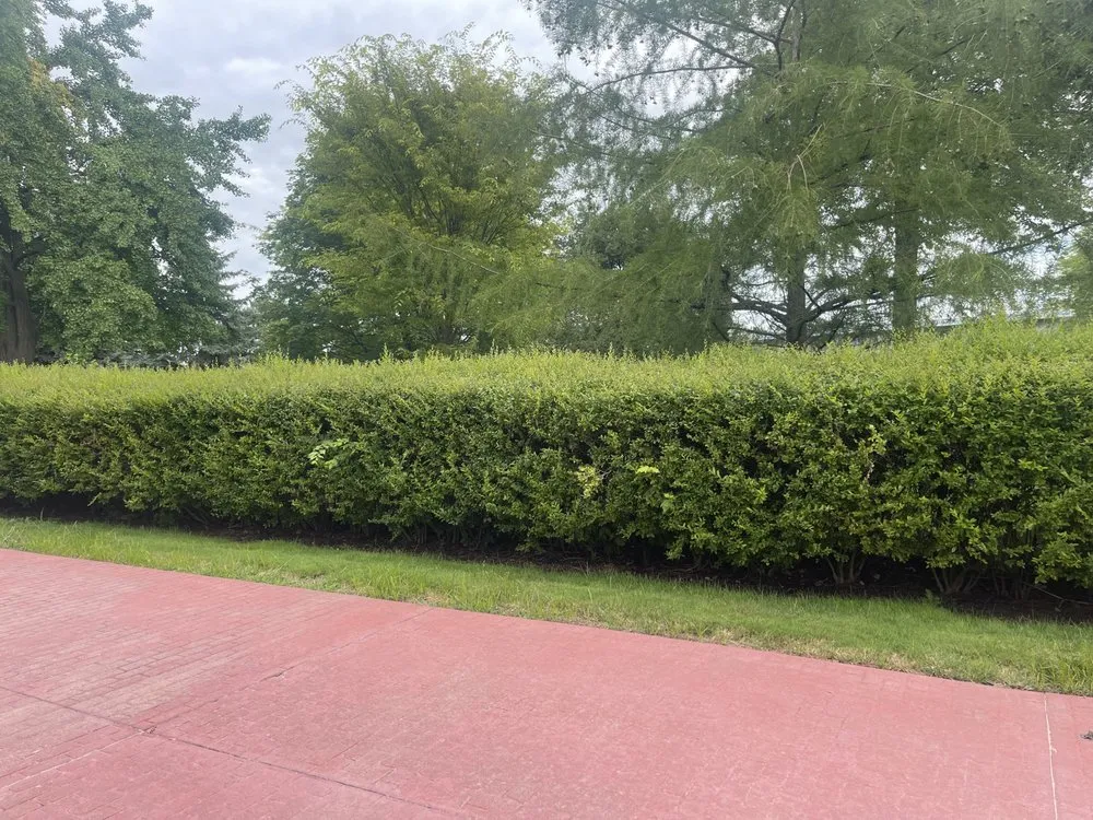 Local lawn care service with custom design across Saginaw, MI - Triple D’s PowerWash & Landscaping