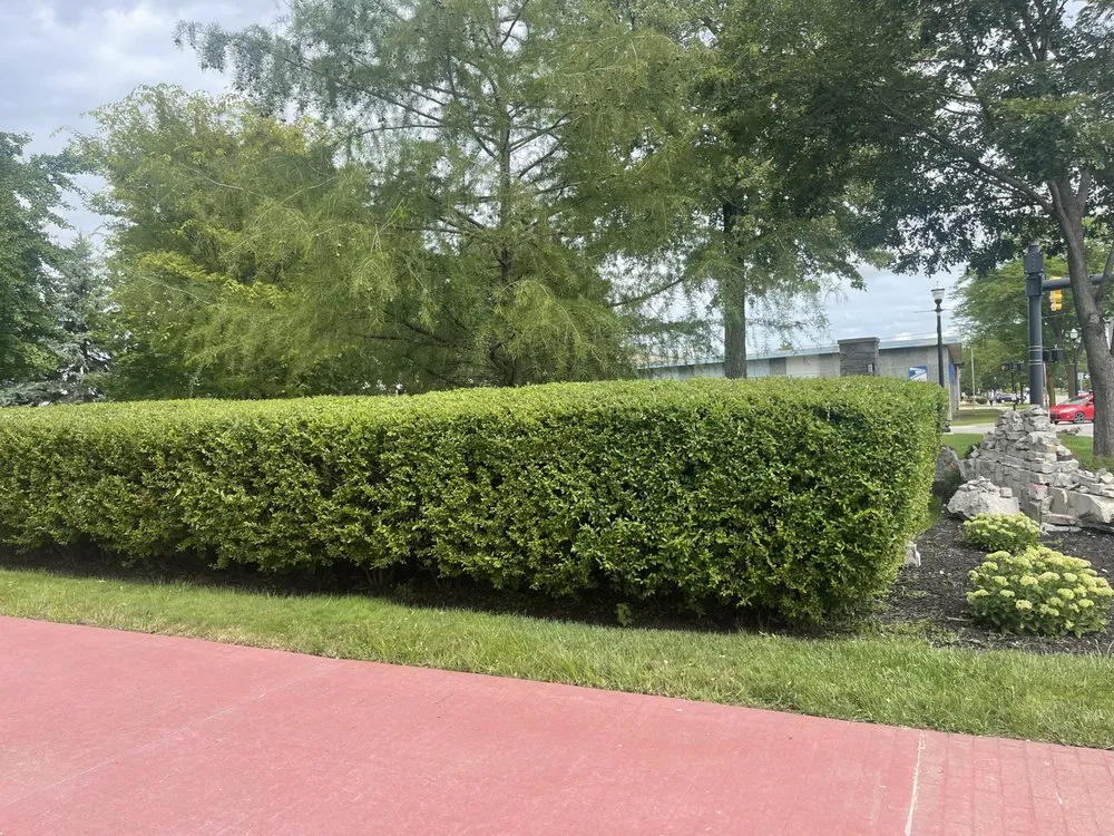 Trusted landscape installation in Saginaw, MI - Triple D’s PowerWash & Landscaping
