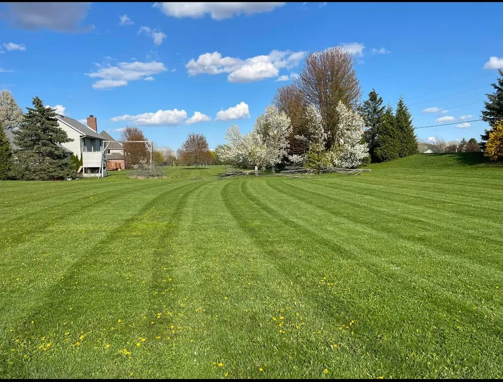 Custom lawn care service for outdoor upgrades in Saginaw, MI by Triple D’s PowerWash & Landscaping