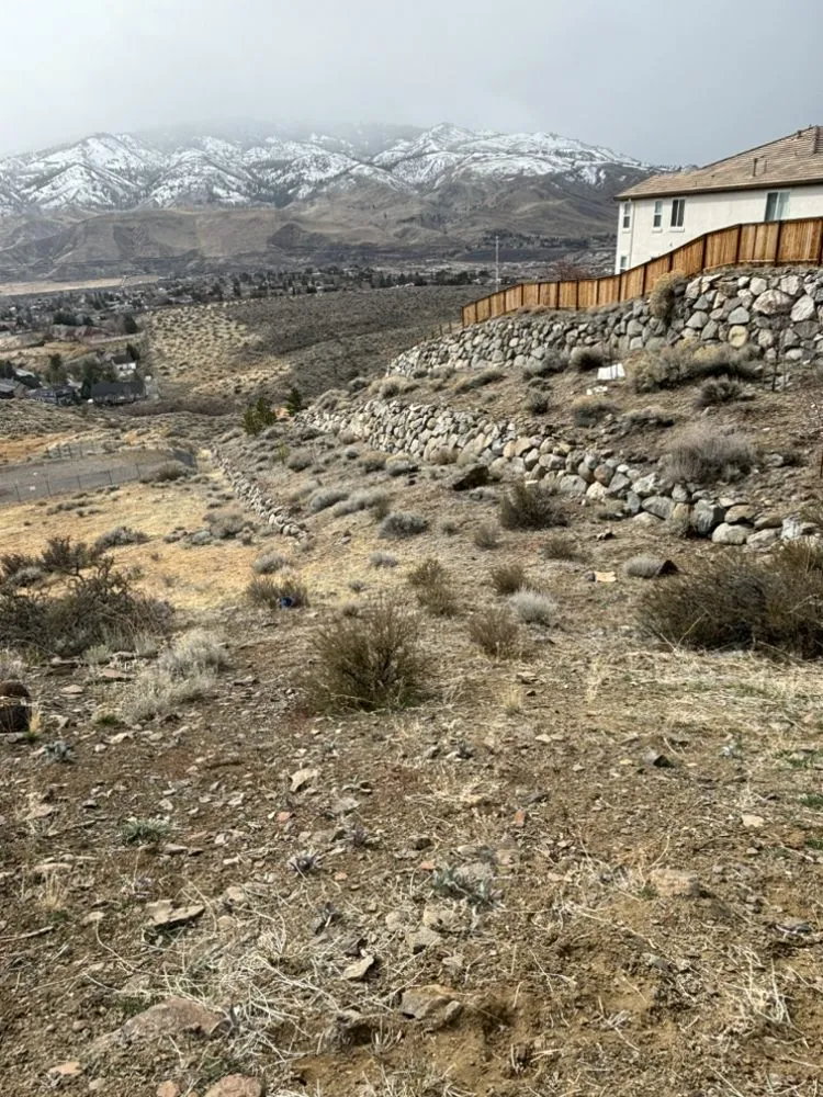 Affordable landscape design for beautiful yards in Reno, NV by Triple E Forestry