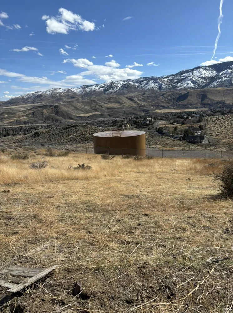 Local outdoor landscaping experts serving Reno, NV - Triple E Forestry