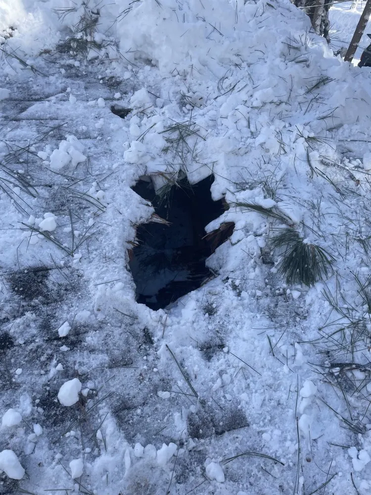 Trusted landscape installation in Reno, NV - Triple E Forestry