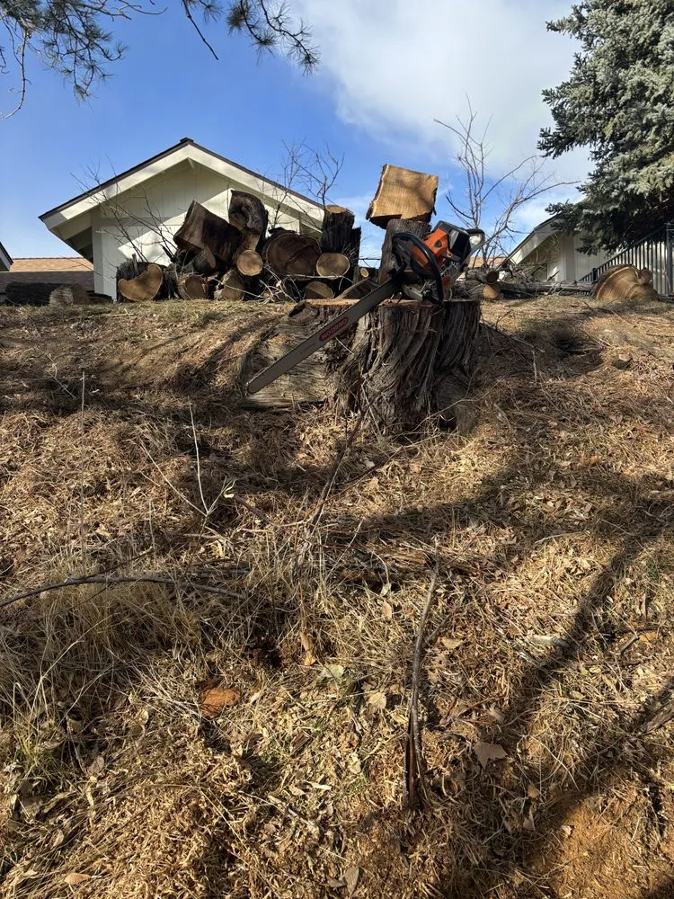 Professional residential landscaping experts serving Reno, NV - Triple E Forestry