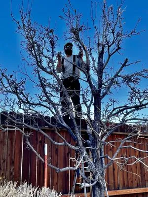 Triple E Forestry Logo