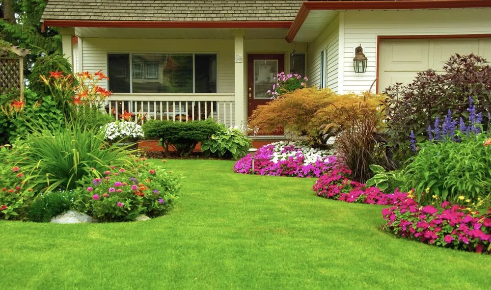 Trusted yard cleanup service for residential properties across Austin, TX - Triple E Lawn Care & More