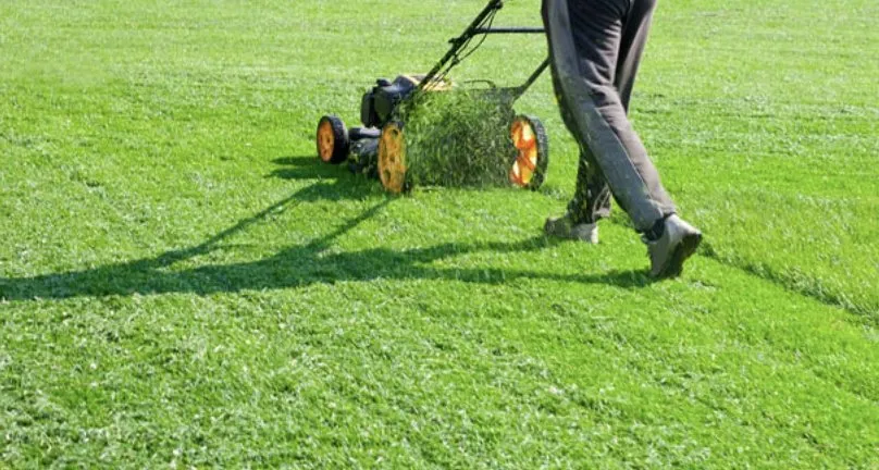 Expert landscape design for year-round maintenance in Austin, TX by Triple E Lawn Care & More