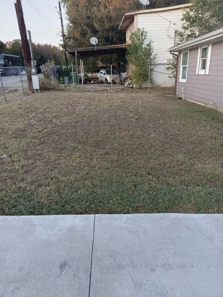 Affordable landscaping services in Austin, TX by Triple E Lawn Care & More