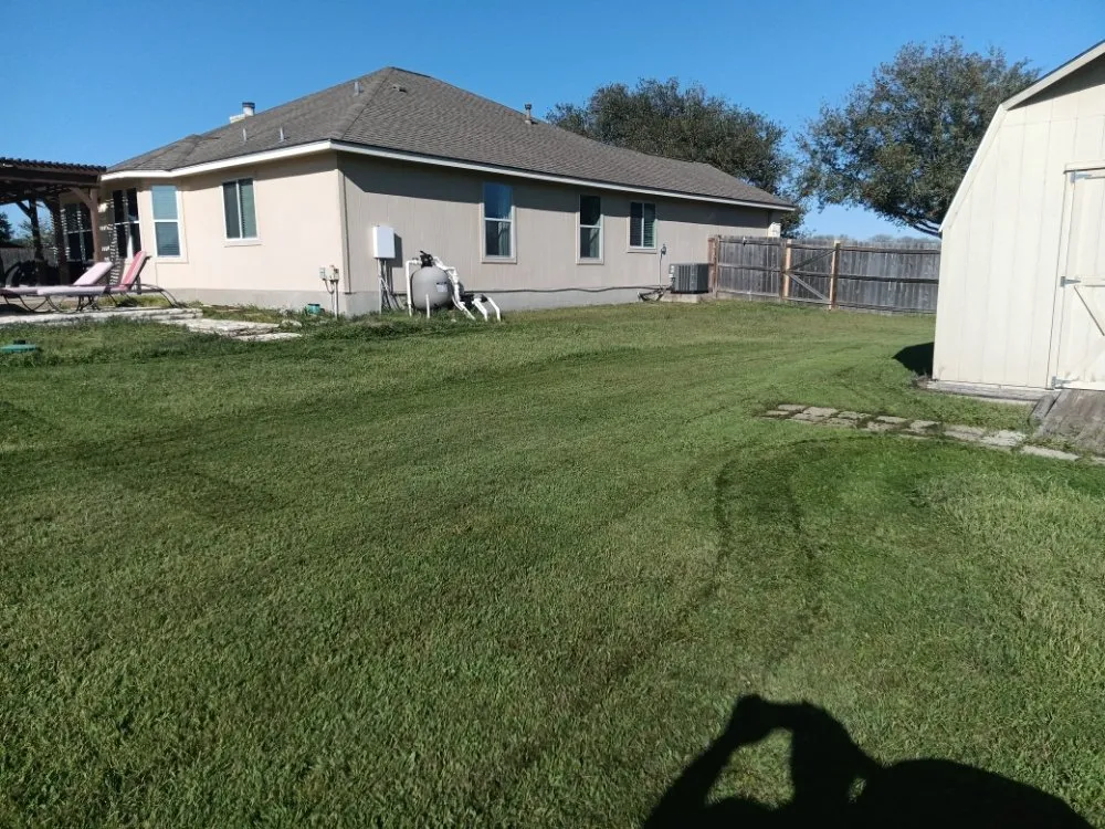 Affordable lawn care service experts serving Austin, TX - Triple E Lawn Care & More