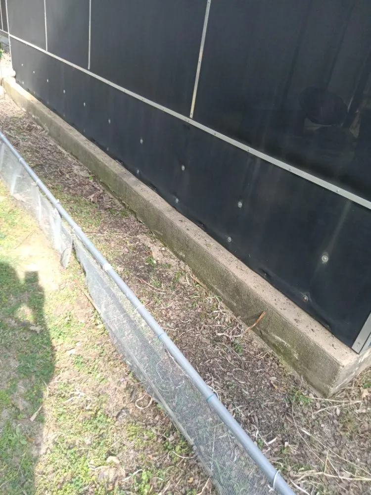 Professional lawn mowing service in Austin, TX - Triple E Lawn Care & More