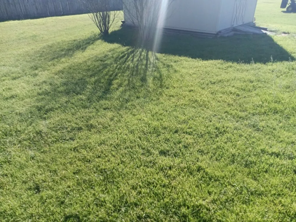 Top-rated residential landscaping experts serving Austin, TX - Triple E Lawn Care & More