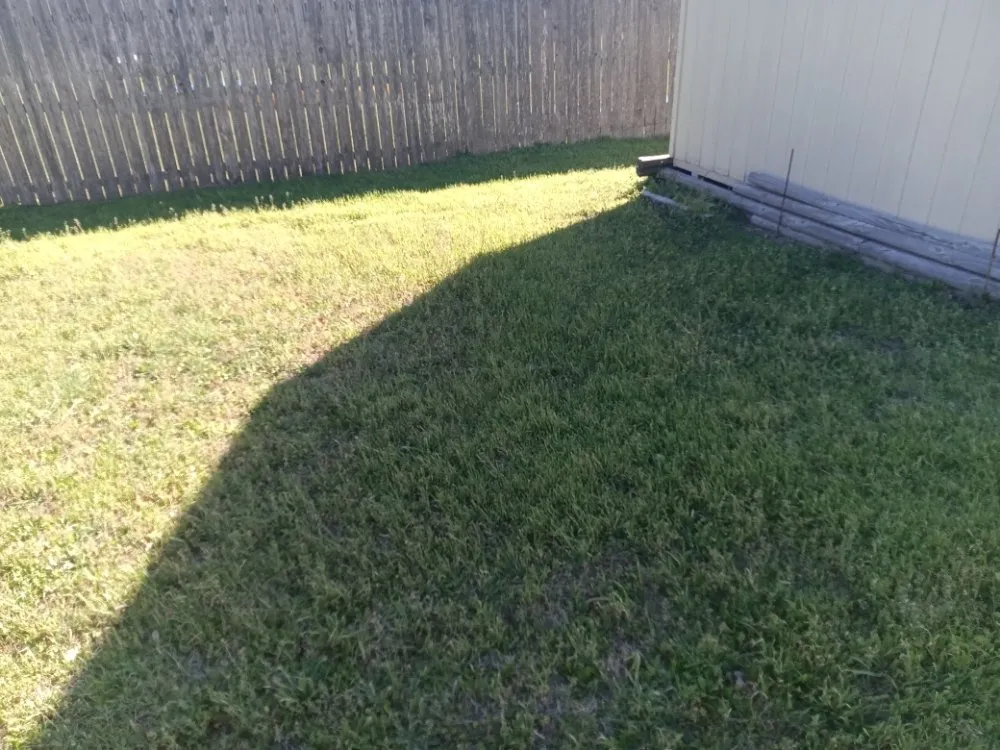 Affordable lawn mowing service near you across Austin, TX - Triple E Lawn Care & More