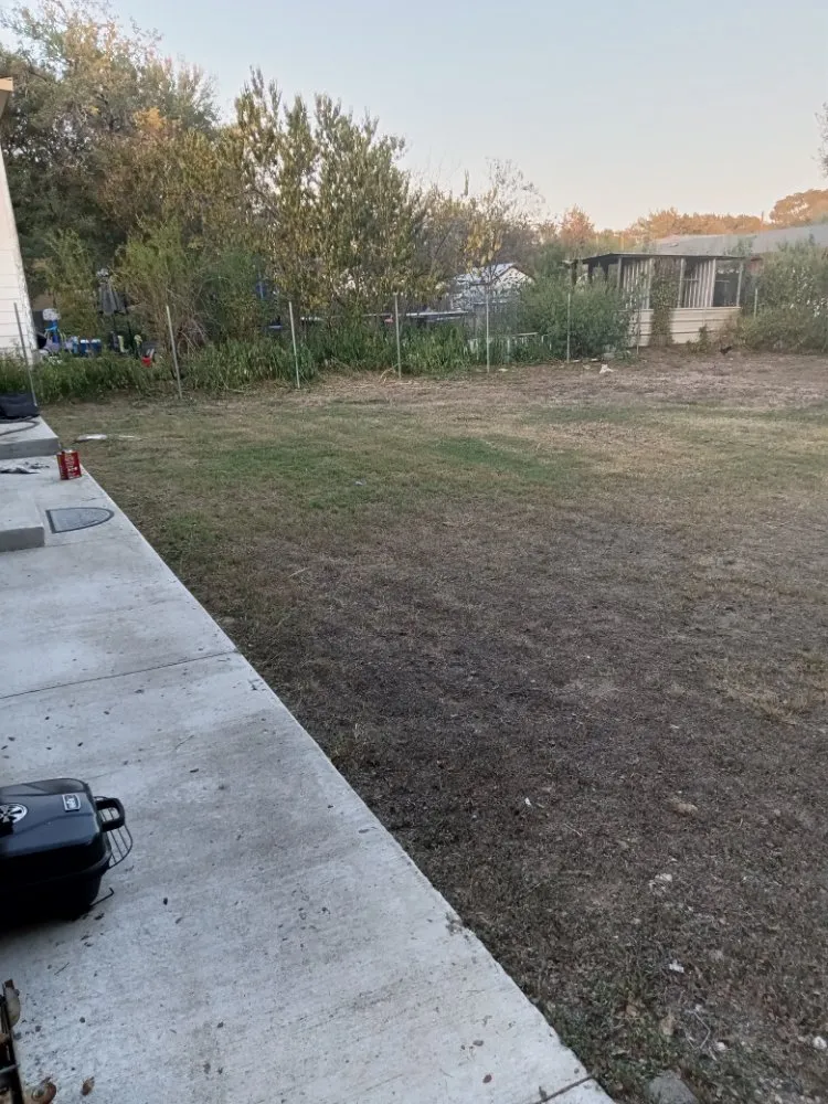 Custom landscaping services in Austin, TX by Triple E Lawn Care & More