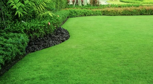 Affordable yard cleanup service experts serving Austin, TX - Triple E Lawn Care & More