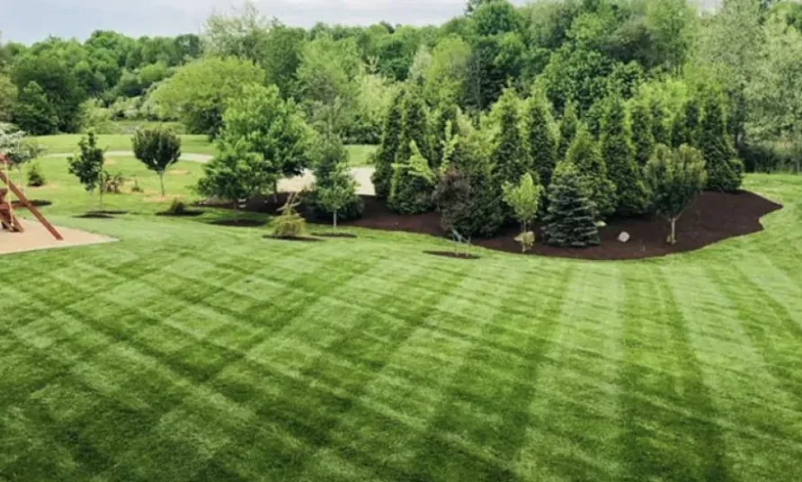 Affordable landscaping services for year-round maintenance in Austin, TX by Triple E Lawn Care & More