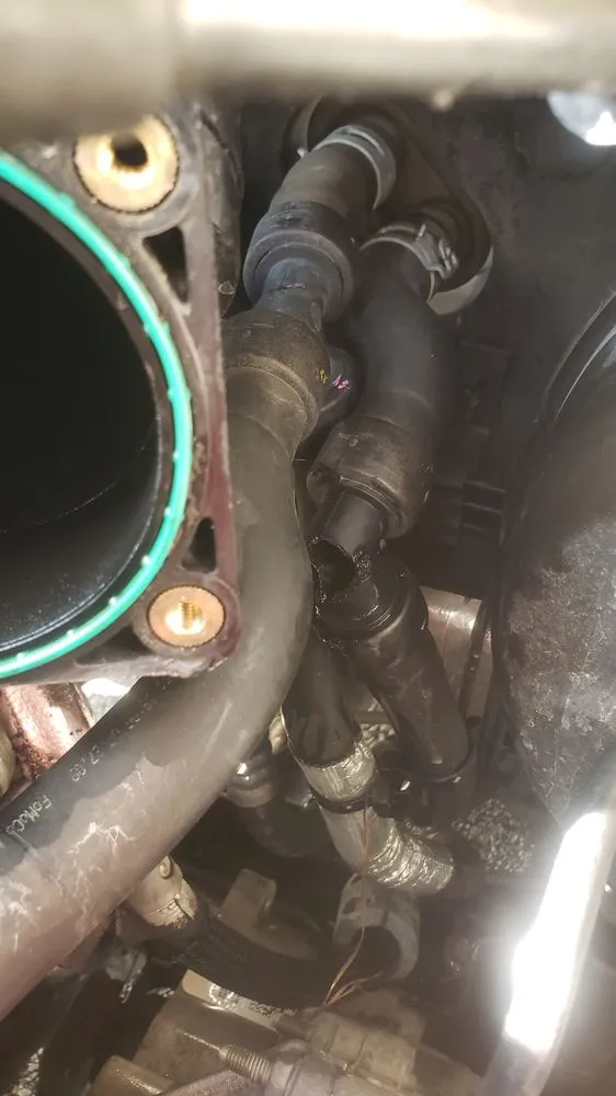 Affordable yard maintenance experts serving Douglasville, GA - Triple-E Lawn Care