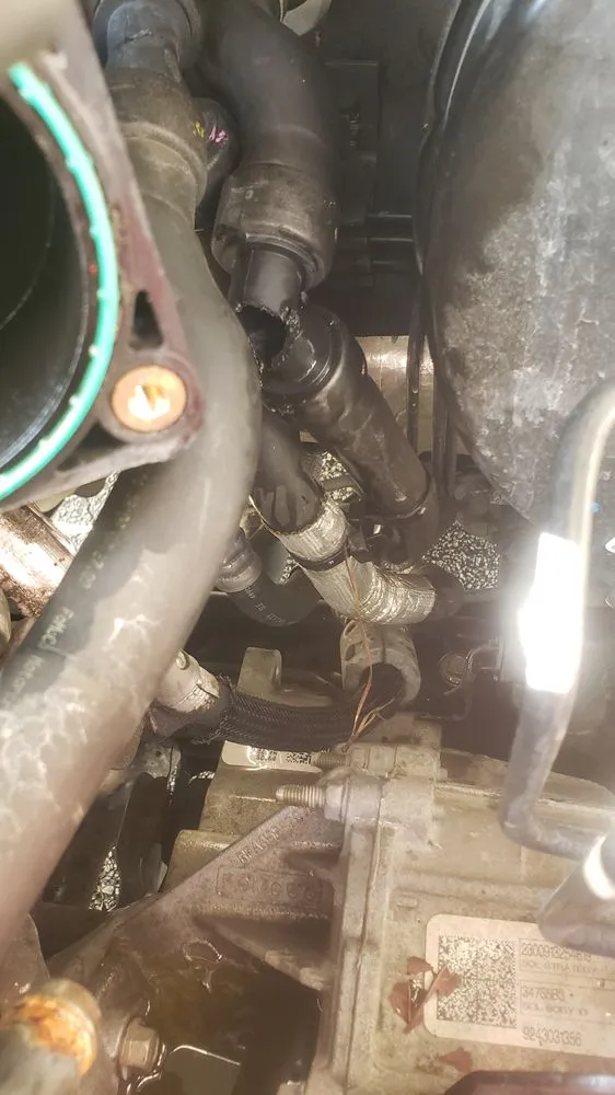 Expert landscape installation for residential properties across Douglasville, GA - Triple-E Lawn Care