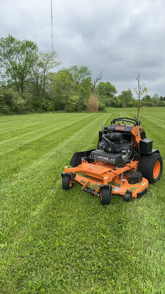 Expert yard cleanup service for beautiful yards in Springfield, OH by Triple E Lawncare & Services