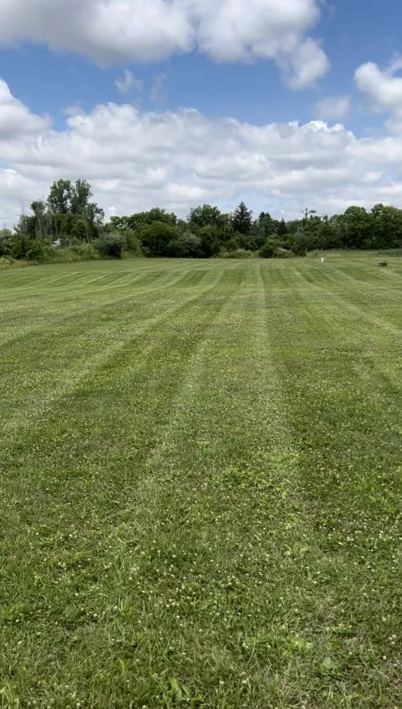 Reliable yard maintenance experts serving Springfield, OH - Triple E Lawncare & Services