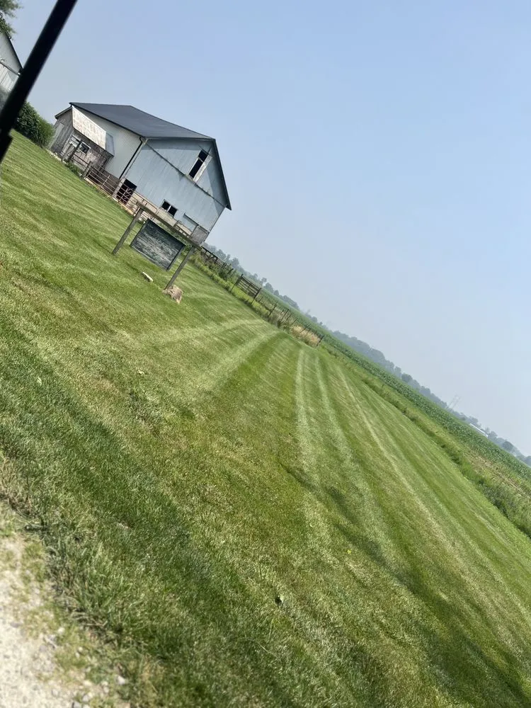 Top-rated yard cleanup service in Springfield, OH by Triple E Lawncare & Services