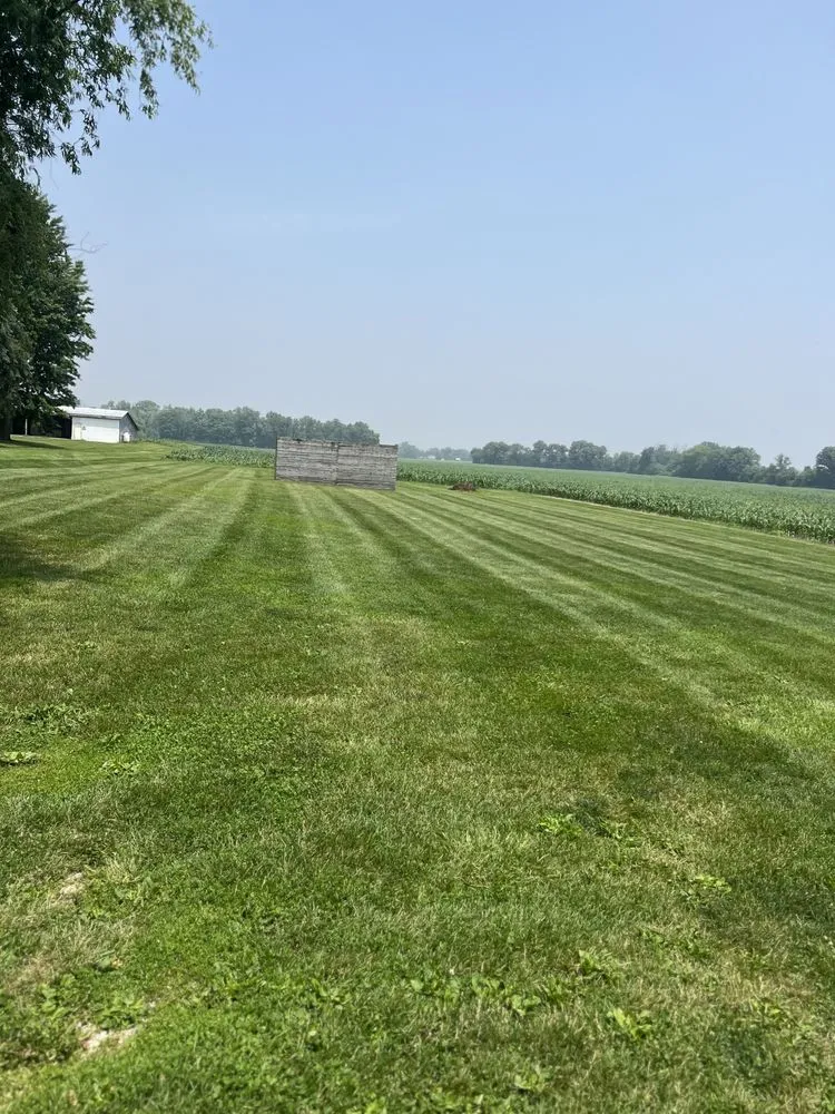 Professional yard cleanup service in Springfield, OH by Triple E Lawncare & Services