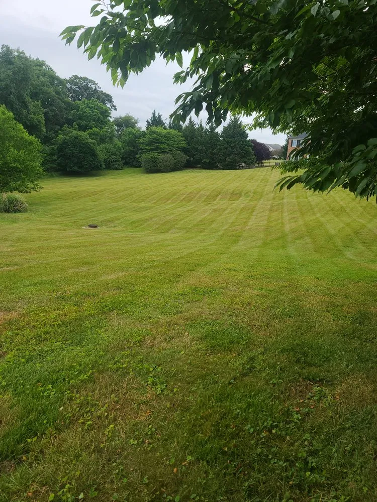 Affordable landscaping services for year-round maintenance in Bel Air, MD by Triple E Natural Innovations