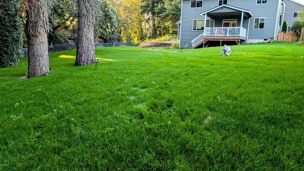 Local outdoor landscaping for year-round maintenance in Enumclaw, WA by Triple Falls Land Clearing & Earthworks