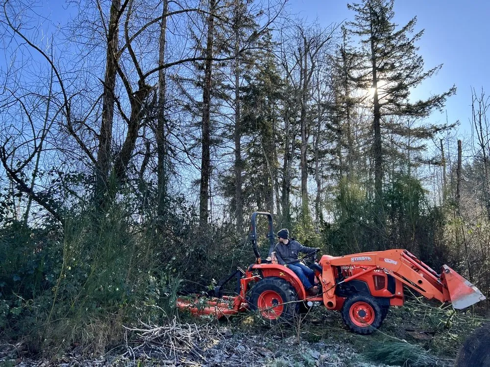 Professional yard cleanup service in Enumclaw, WA by Triple Falls Land Clearing & Earthworks