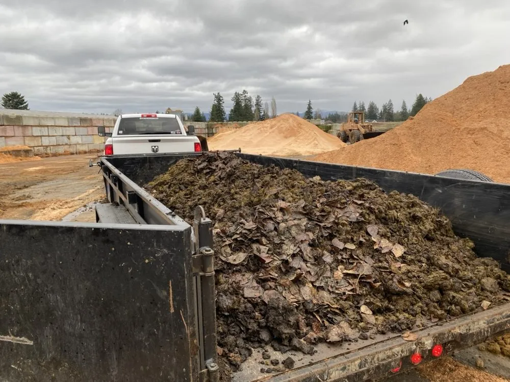 Trusted yard maintenance in Enumclaw, WA - Triple Falls Land Clearing & Earthworks