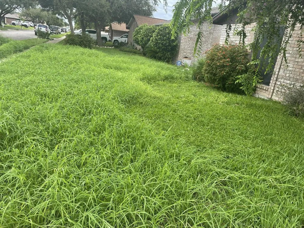 Professional garden landscaping in Gregory, TX - Triple G Landscaping and more