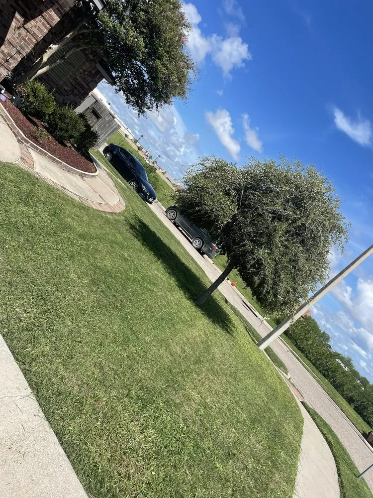 Local landscaping services in Gregory, TX - Triple G Landscaping and more