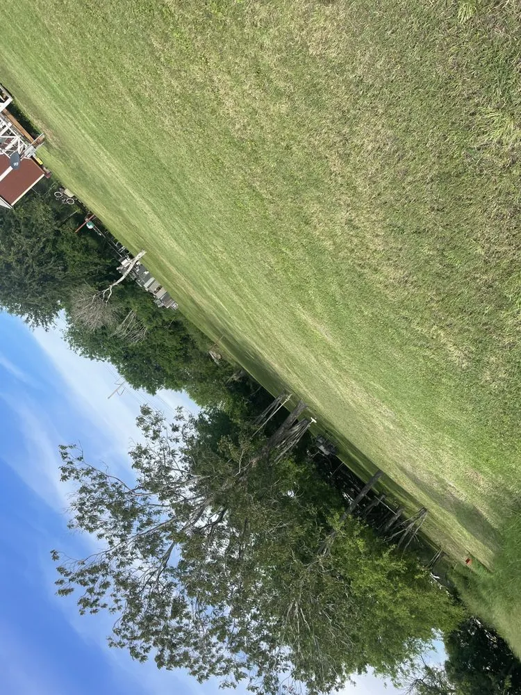 Reliable yard cleanup service for beautiful yards across Gregory, TX - Triple G Landscaping and more