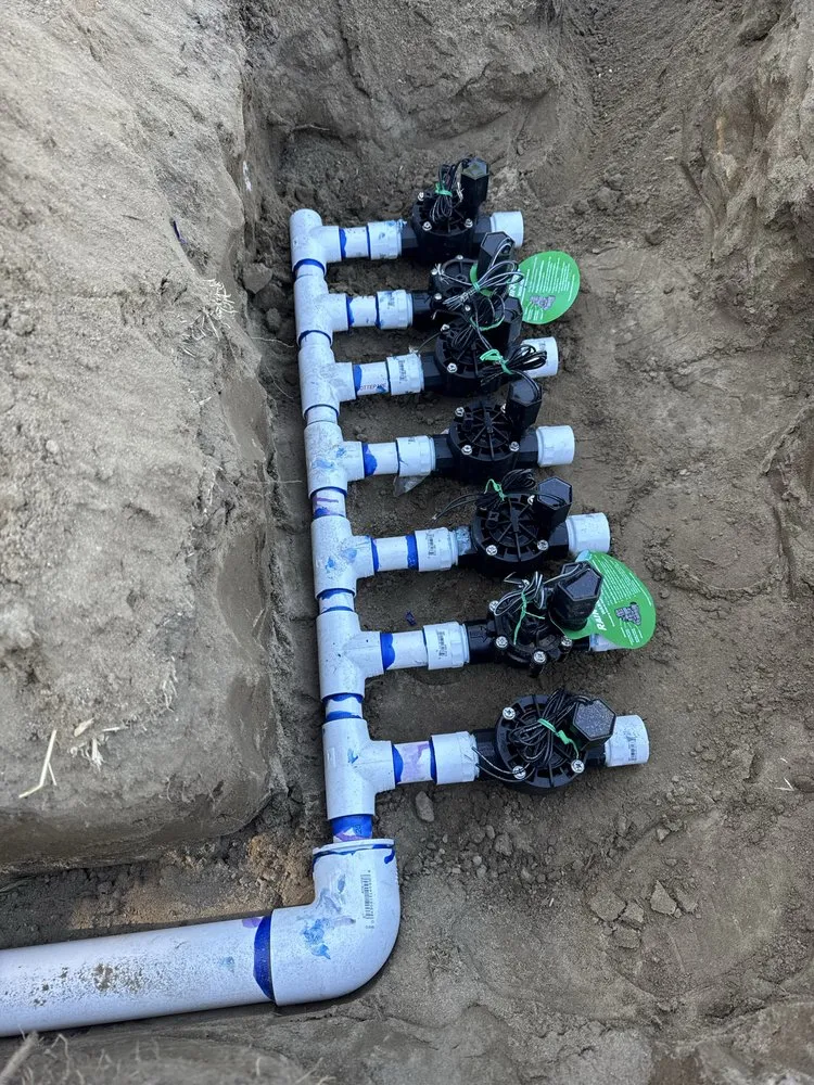 Expert yard cleanup service for homes in Bakersfield, CA by Triple G Landscaping