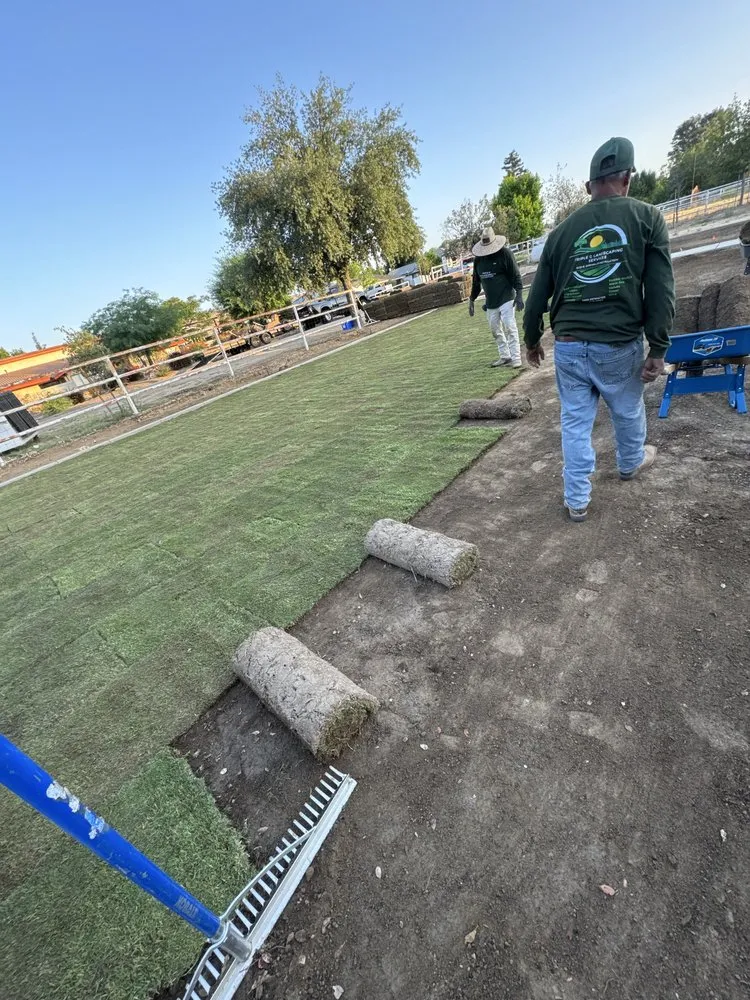 Top-rated yard maintenance for year-round maintenance in Bakersfield, CA by Triple G Landscaping