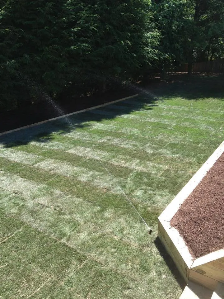 Custom yard maintenance experts serving Glens Falls, NY - Triple G Lawn Fertilization
