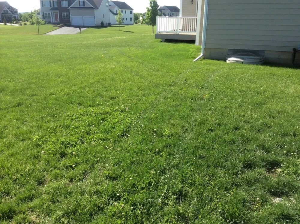 Trusted yard cleanup service in Glens Falls, NY by Triple G Lawn Fertilization