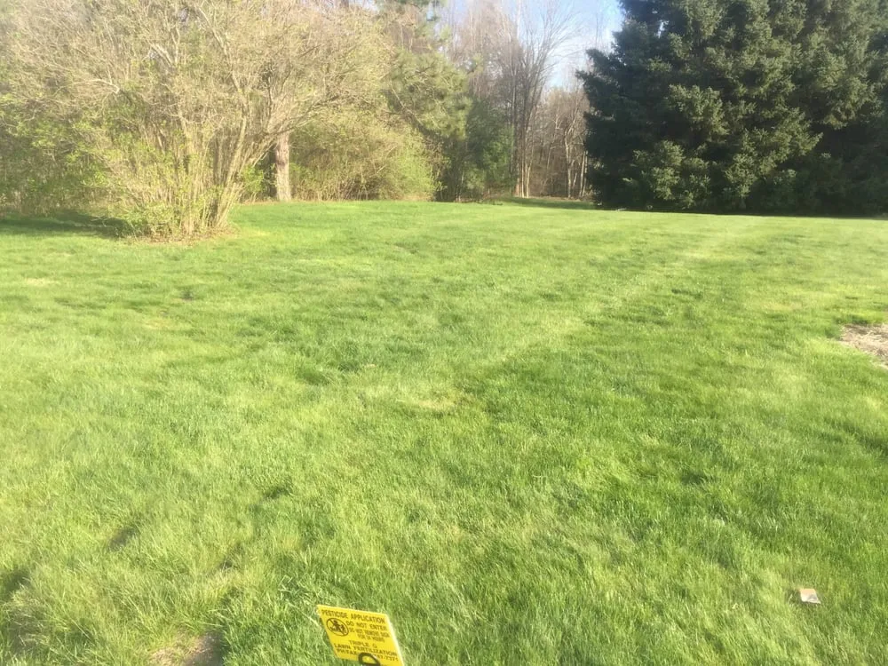 Professional yard maintenance in Glens Falls, NY by Triple G Lawn Fertilization