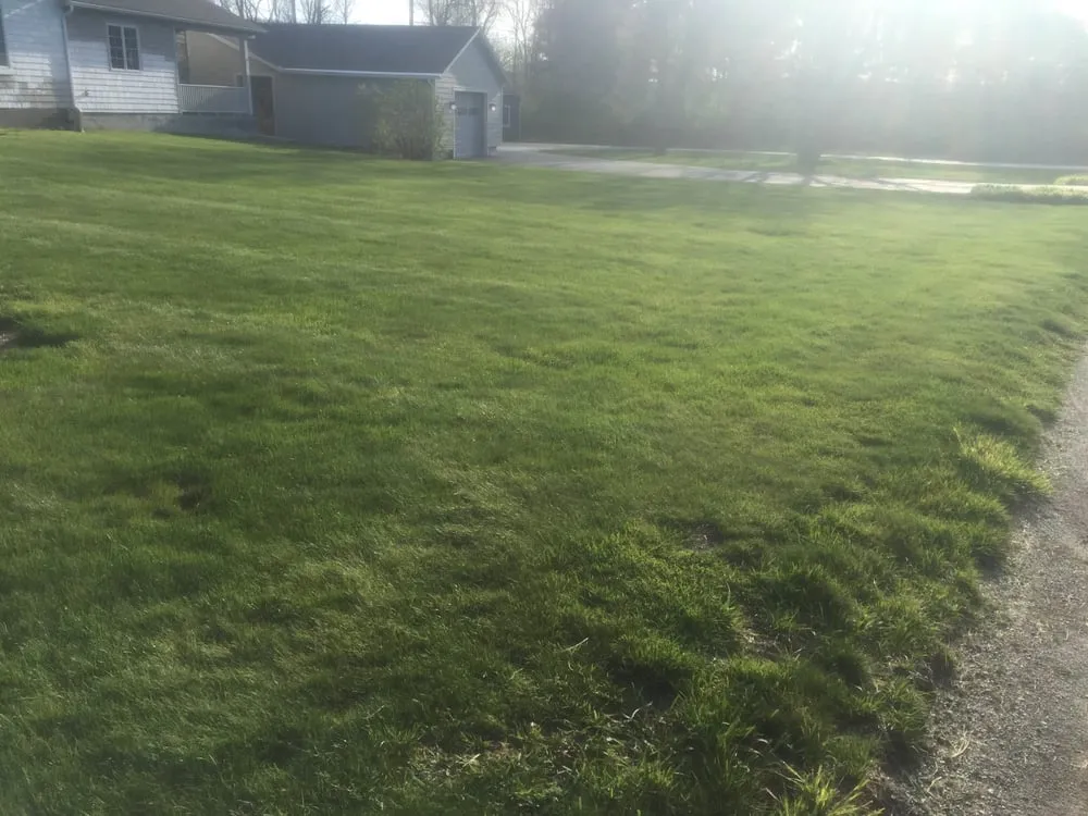 Reliable yard maintenance experts serving Glens Falls, NY - Triple G Lawn Fertilization