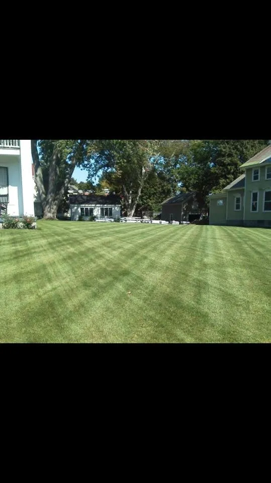 Expert yard cleanup service for year-round maintenance in Glens Falls, NY by Triple G Lawn Fertilization