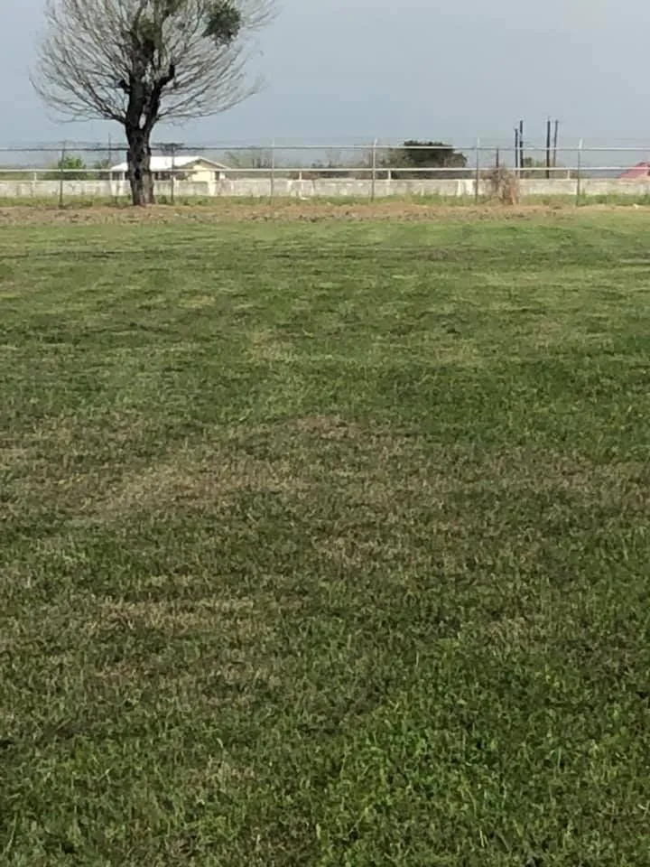 Expert garden landscaping for homes in Corpus Christi, TX by Triple G Lawn Services