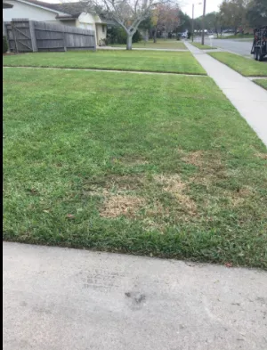 Trusted yard maintenance in Corpus Christi, TX by Triple G Lawn Services