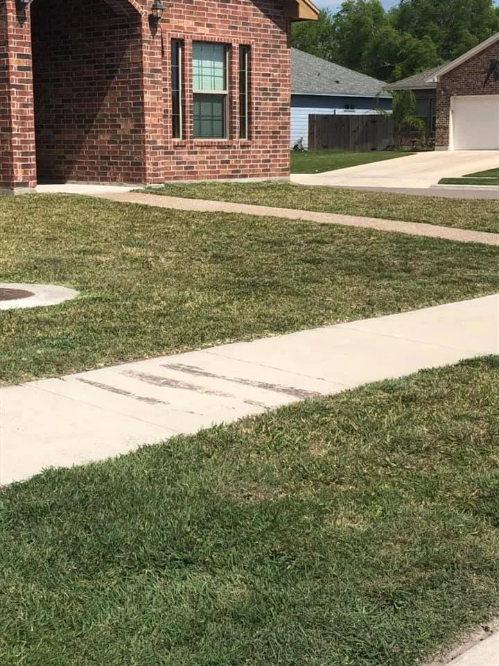 Professional yard maintenance in Corpus Christi, TX by Triple G Lawn Services