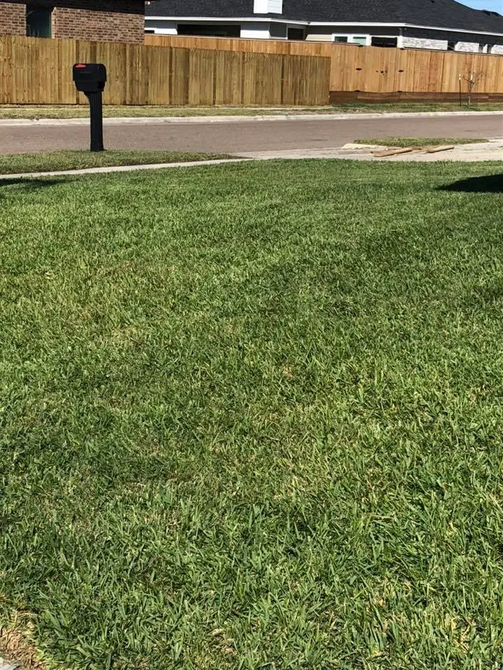 Custom garden landscaping for year-round maintenance across Corpus Christi, TX - Triple G Lawn Services