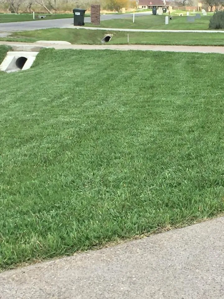 Local lawn care service in Corpus Christi, TX by Triple G Lawn Services