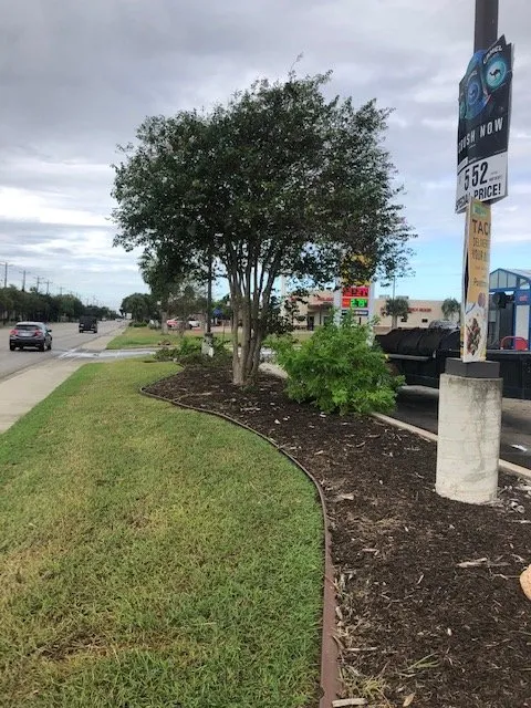 Top-rated lawn mowing service near you across Corpus Christi, TX - Triple G Lawn Services